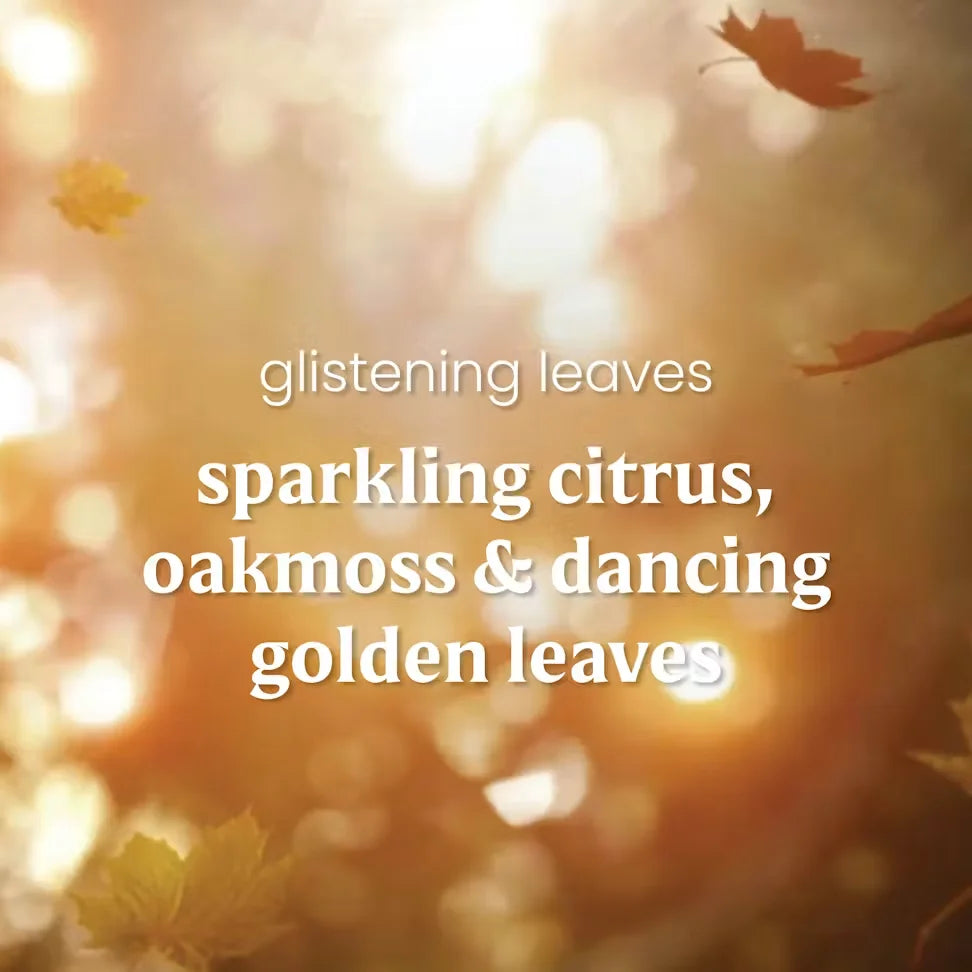 glistening-leaves
