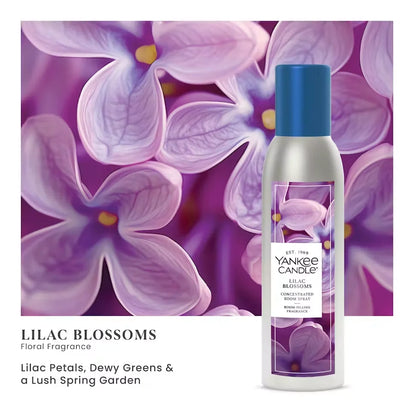 lilac-blossoms